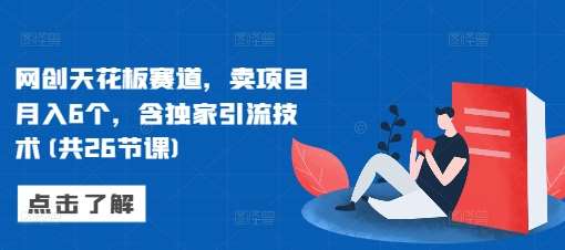网创天花板赛道，卖项目月入6个，含独家引流技术【解说+实战】